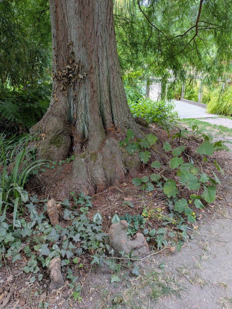 Woodland Garden. Beth Chatto's, September 2026 Woodland Garden. Beth Chatto's, September 2026
