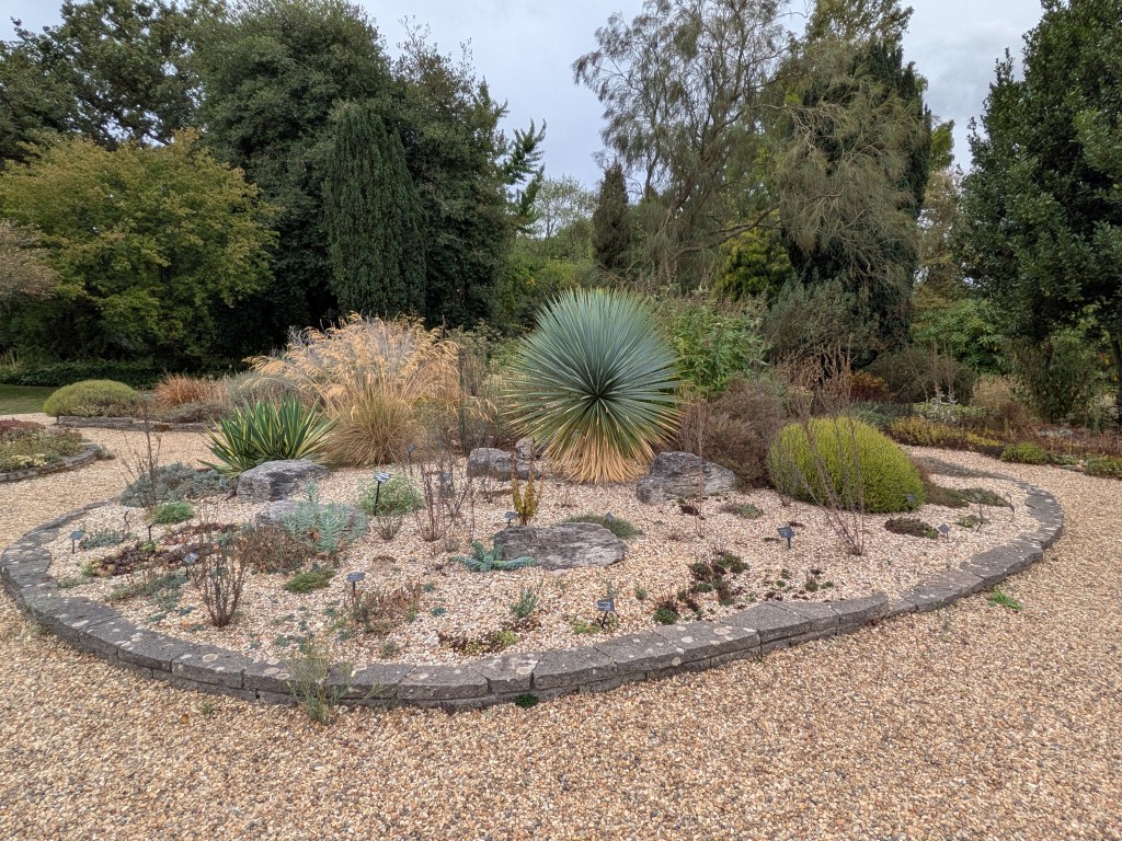 Scree Garden. Beth Chatto's, September 2026 Scree Garden. Beth Chatto's, September 2026