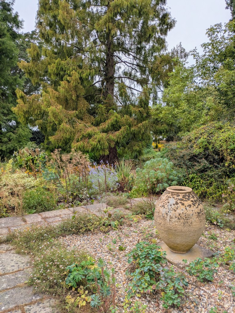 Urn garden by Beth Chatto's house, September 2026 Urn garden by Beth Chatto's house, September 2026