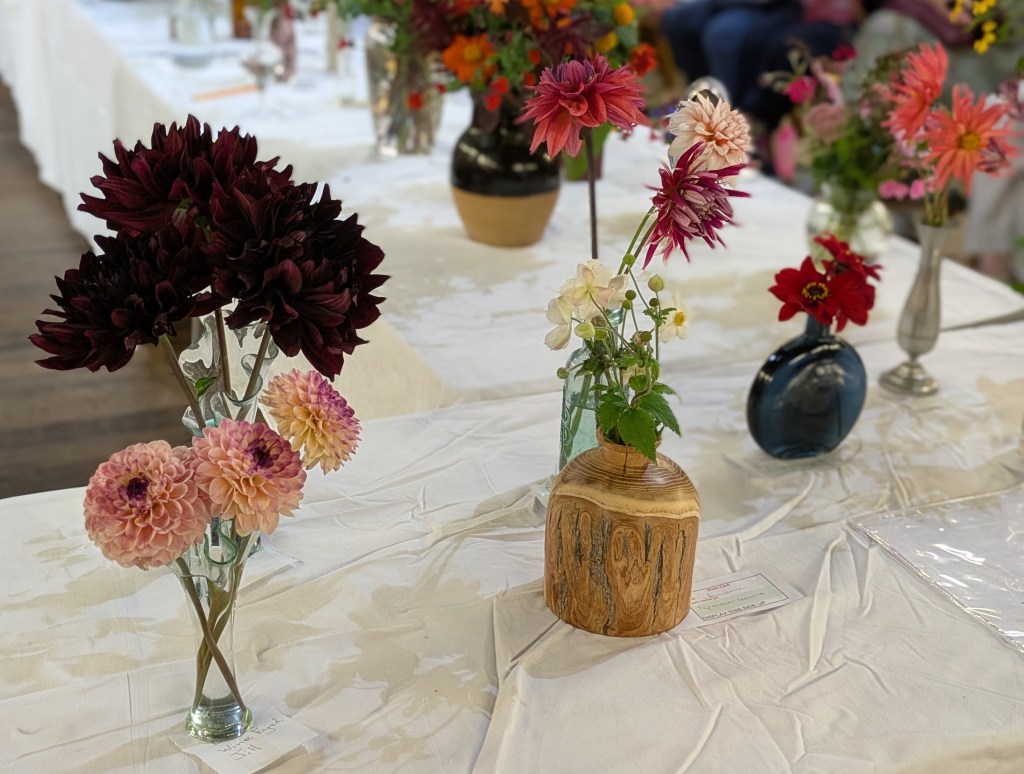 Class 1: Flowers, 3 stems of same cultivar CABAHS Autumn Show 2026