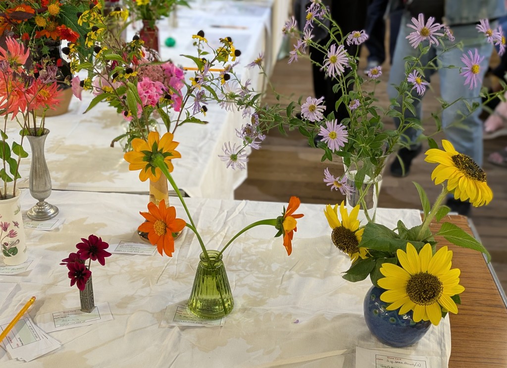 Class 1: Flowers, 3 stems of same cultivar CABAHS Autumn Show 2026