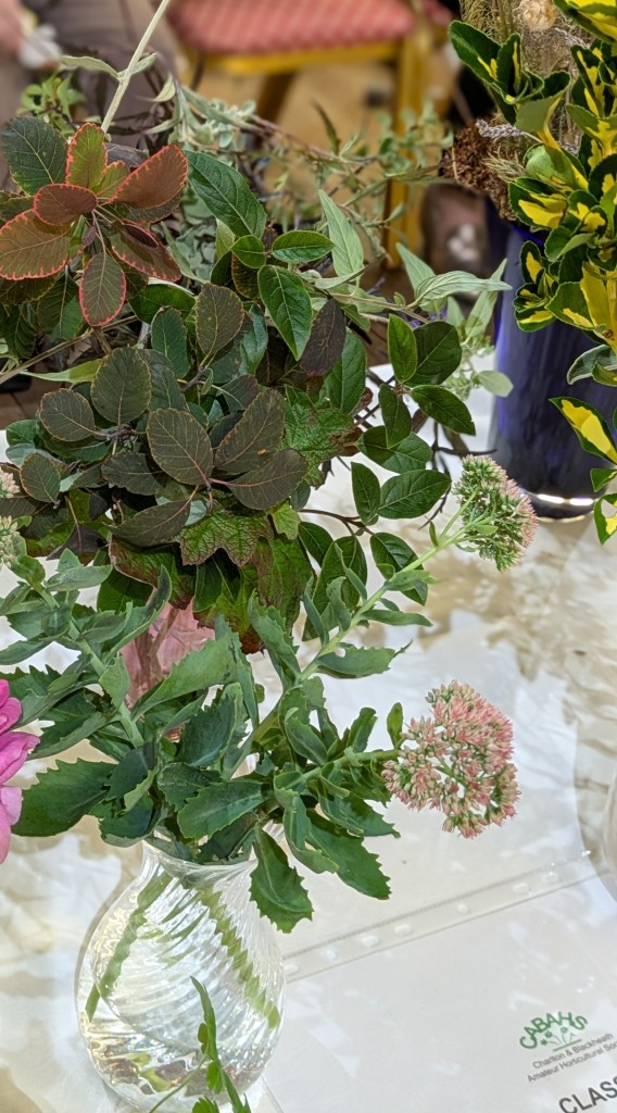 Class 5: Vase of shrubs or foliage, 3 stems mixed CABAHS Autumn Show 2026