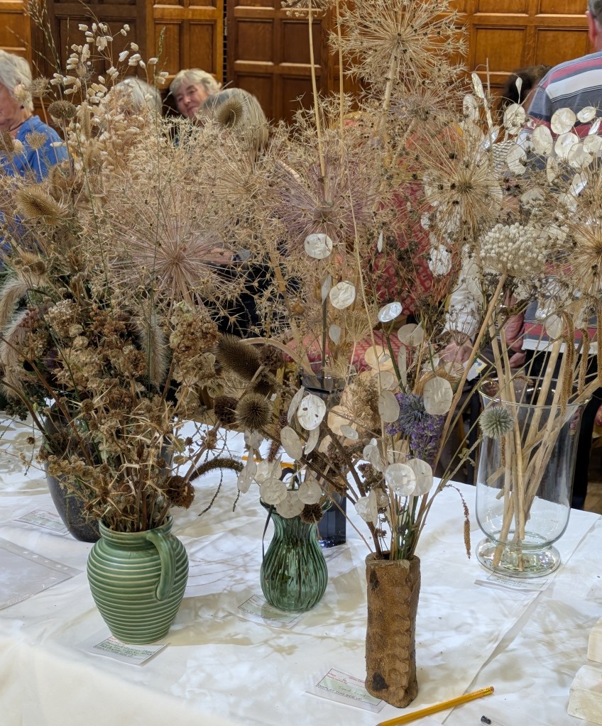 Class 6: Display of ornamental seed heads CABAHS Autumn Show 2026