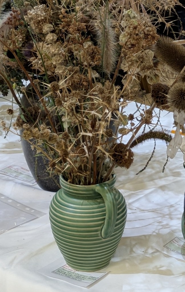 Class 6: Highly Commended CABAHS Autumn Show 2026
