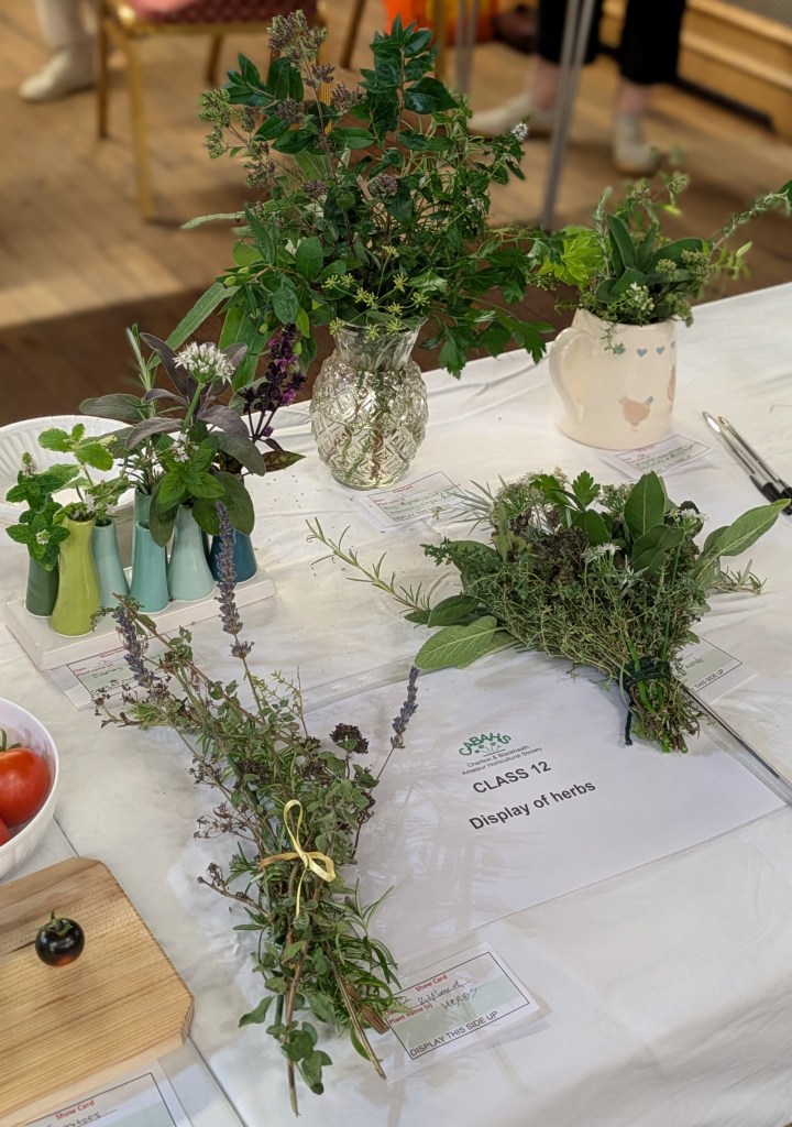 Class 12: Display of herbs CABAHS Autumn Show 2026