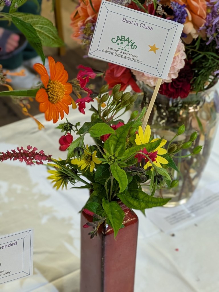 Class 2: Best in Class CABAHS Autumn Show 2026