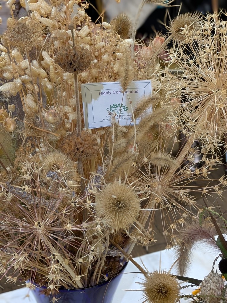 Class 6: Highly Commended CABAHS Autumn Show 2026
