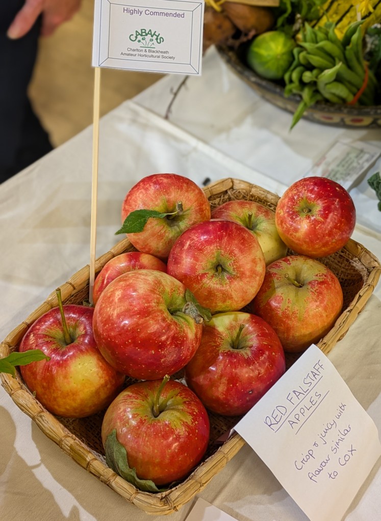 Class 9: Highly Commended CABAHS Autumn Show 2026