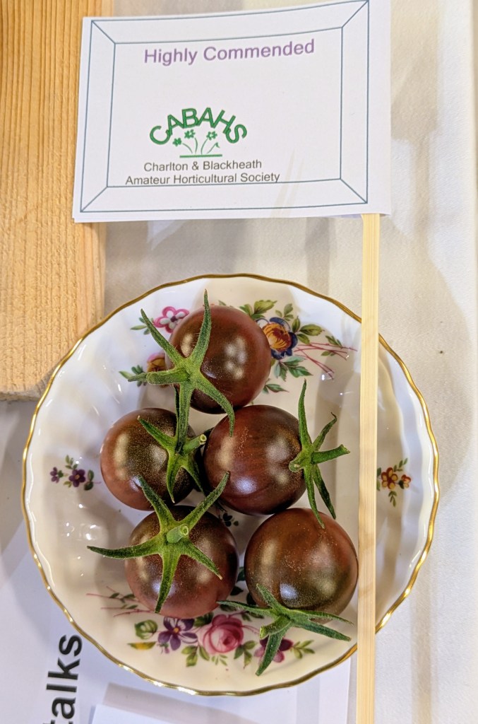 Class 11: Highly Commended CABAHS Autumn Show 2026