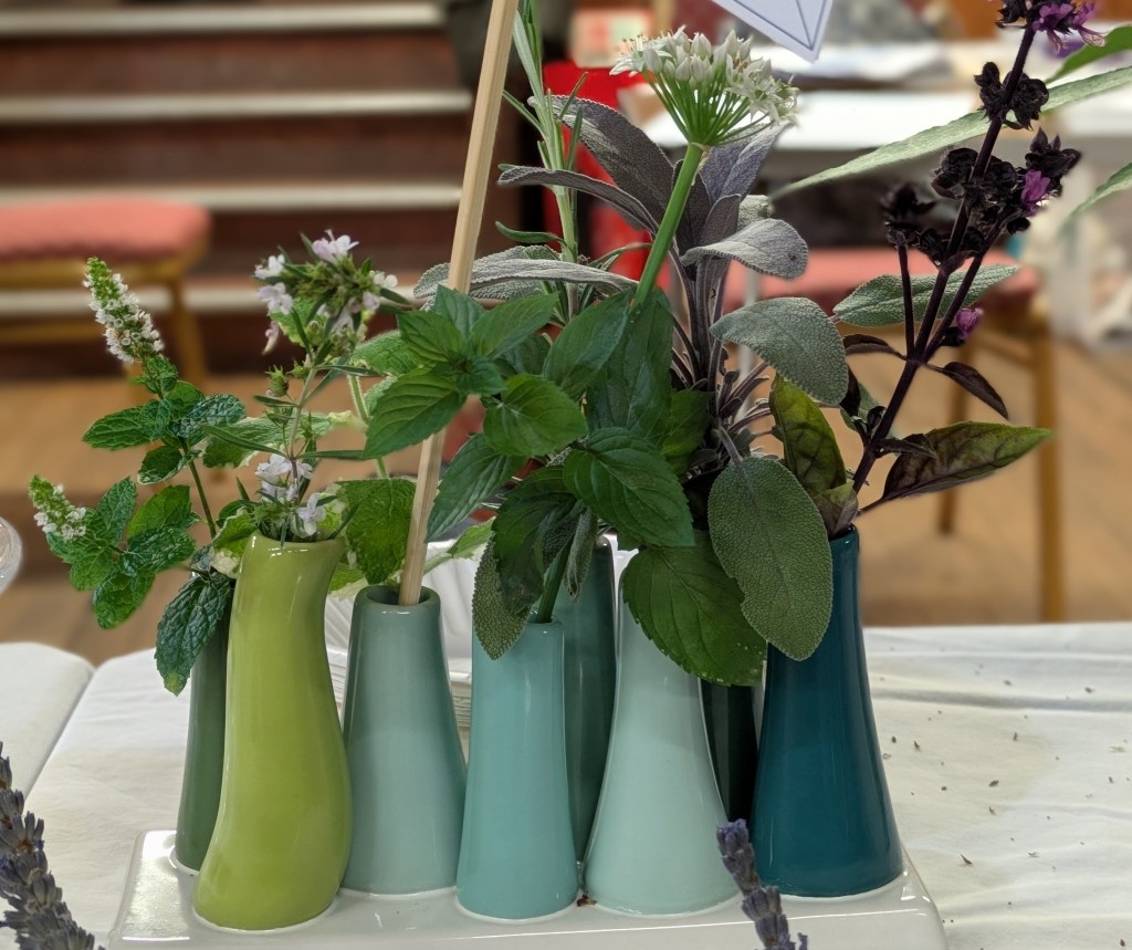 Class 12: Highly Commended CABAHS Autumn Show 2026