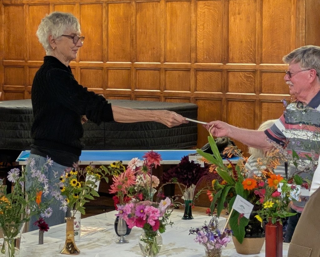 Terry receiving his 'Best in Class 3 (Salvias)' certificate from Vija CABAHS Autumn Show 2026
