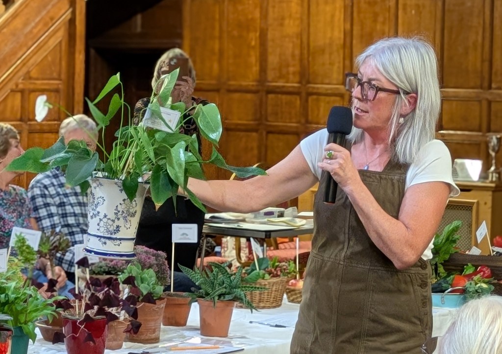 Judge Susan Urpeth discusses Class 8: Pot plant CABAHS Autumn Show 2026