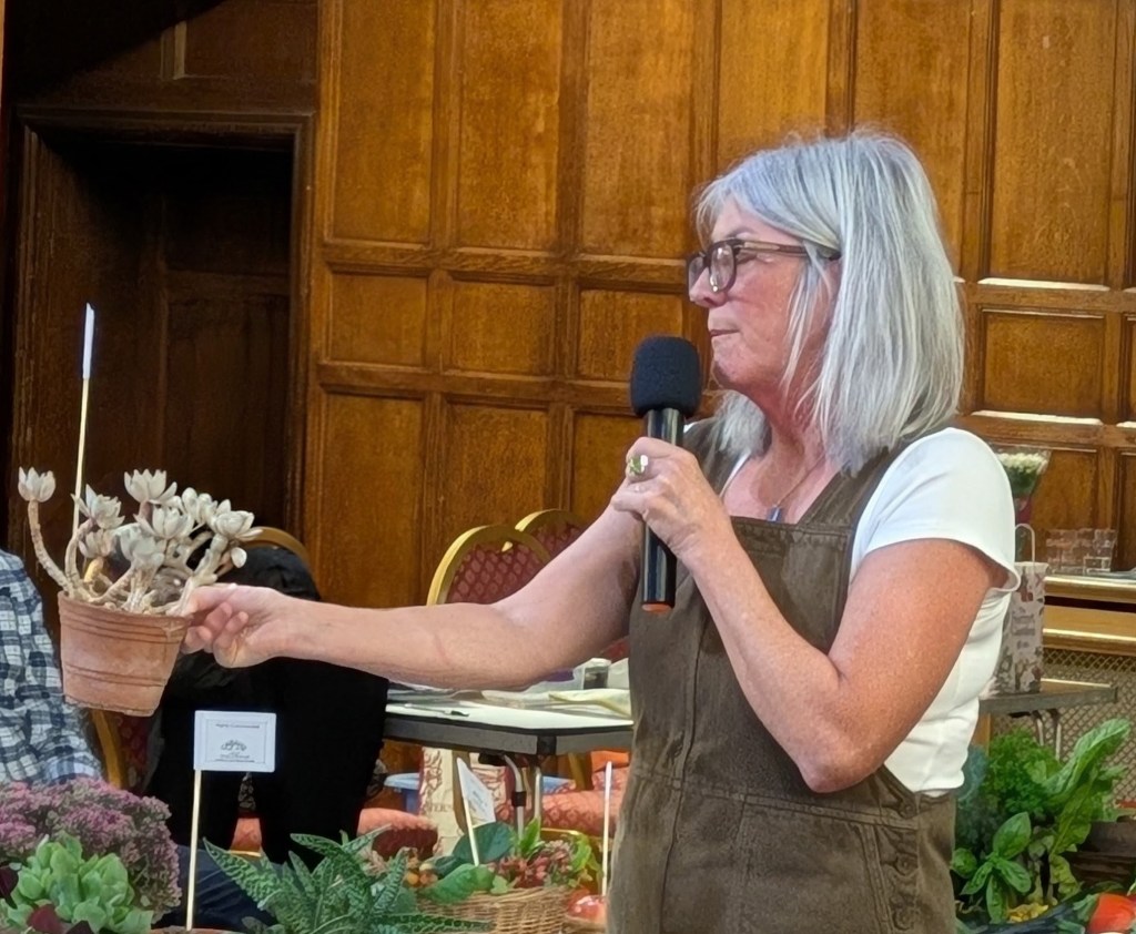 Judge Susan Urpeth discusses Class 8: Pot plant CABAHS Autumn Show 2026