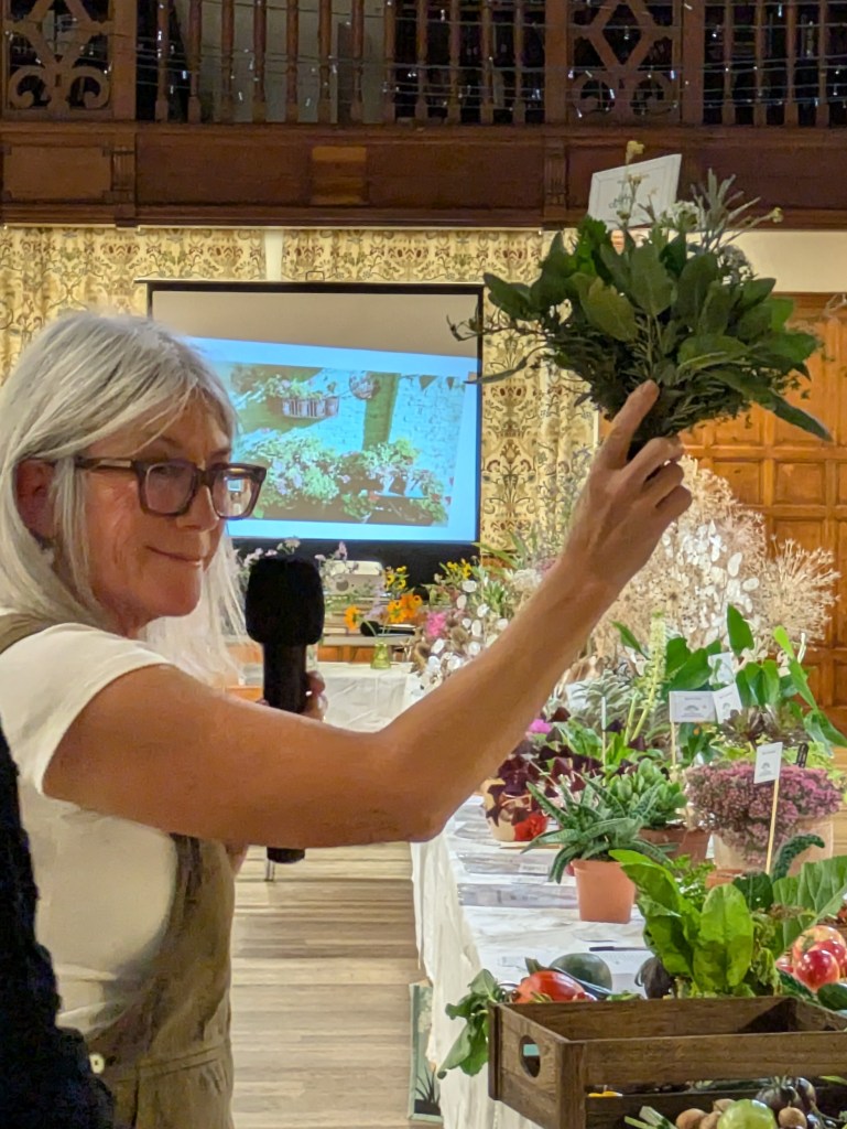 Class 12: Best in Class awarded by judge Susan Urpeth CABAHS Autumn Show 2026