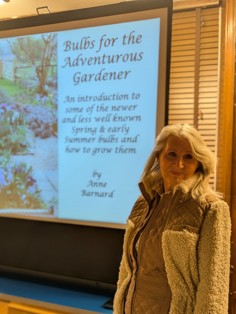 Anne Barnard of Rose Cottage Plants about to deliver her talk on bulbs. CABAHS October 2026
