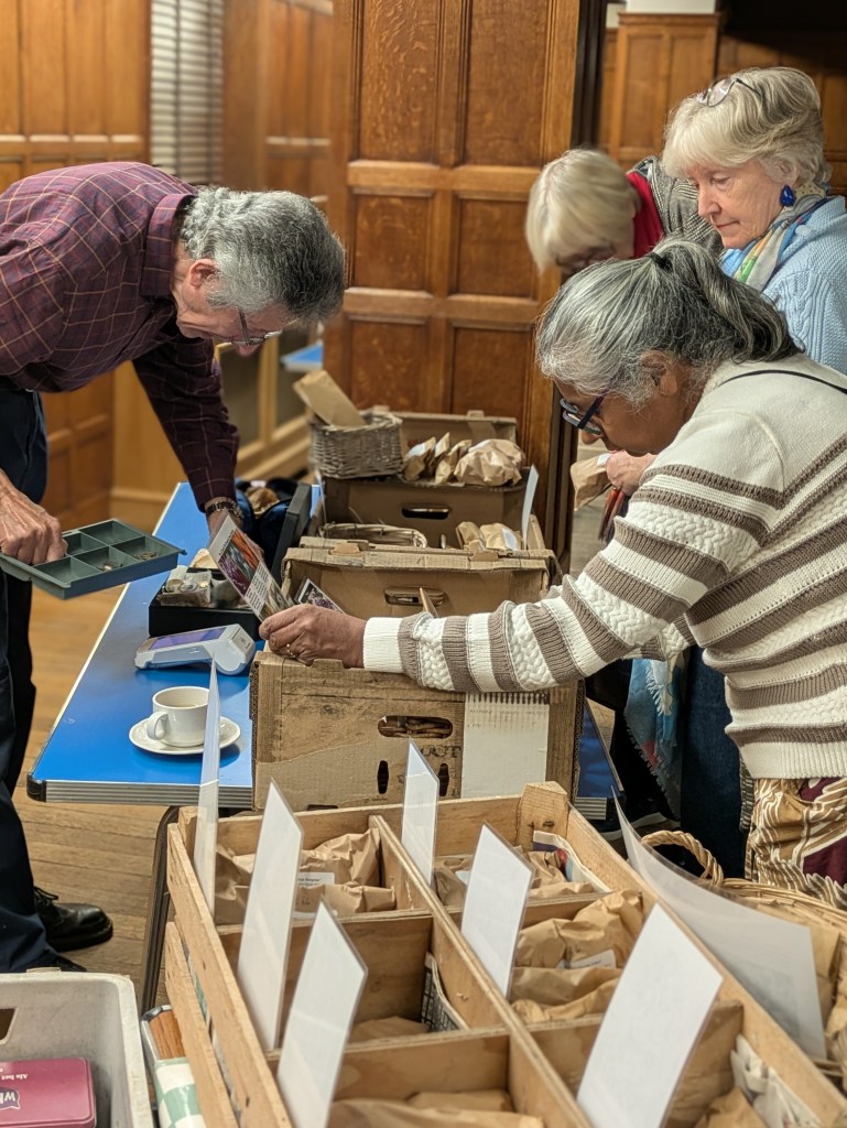 Rose Cottage Plants sold a delectable selection of bulbs at the CABAHS October 2026 meeting
