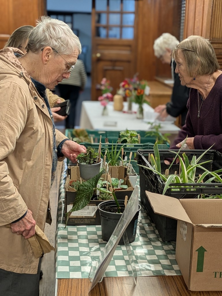 Plant Sales table at CABAHS October 2026 meeting