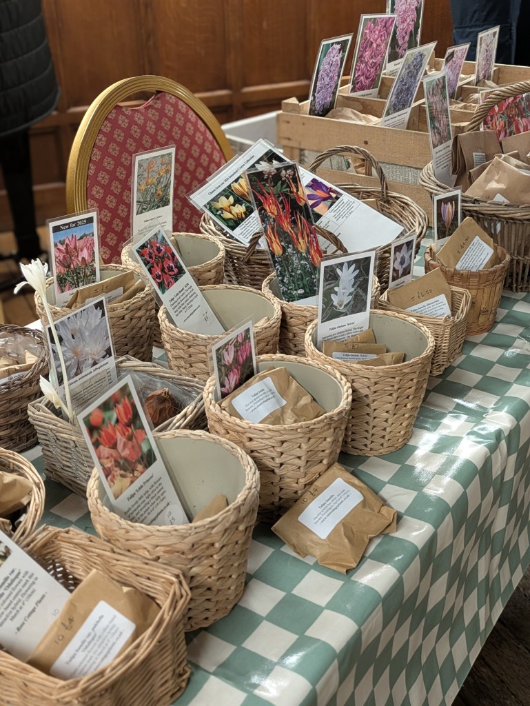 Rose Cottage Plants sold a delectable selection of bulbs at the CABAHS October 2026 meeting