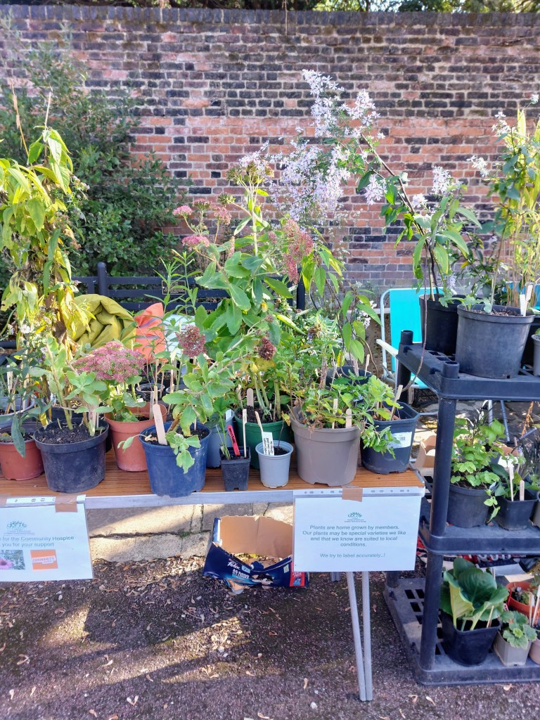 Plant Sale at the Horn Fair, October 2026