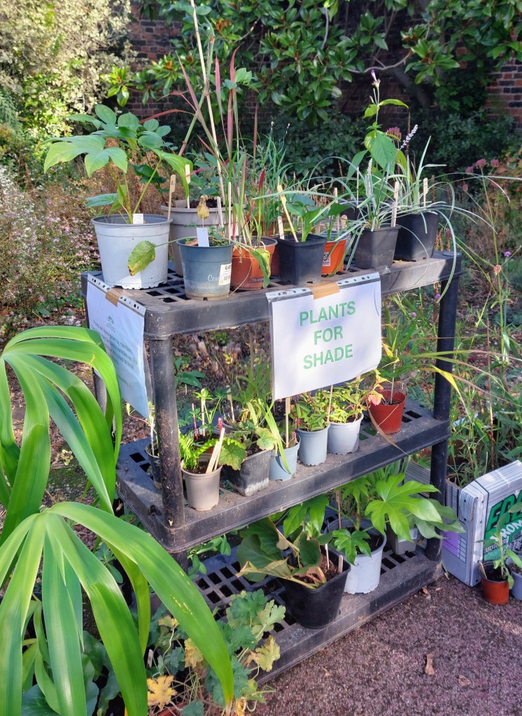 Plant Sale at the Horn Fair, October 2026