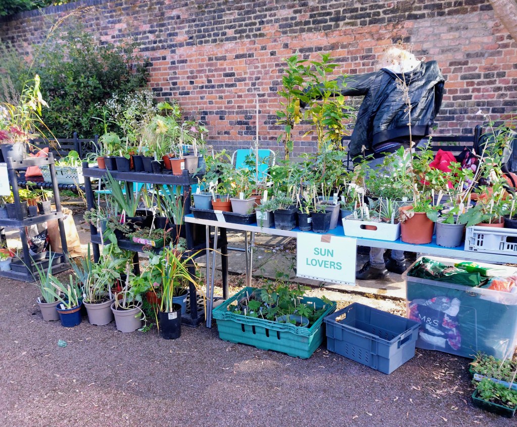Plant Sale at the Horn Fair, October 2026