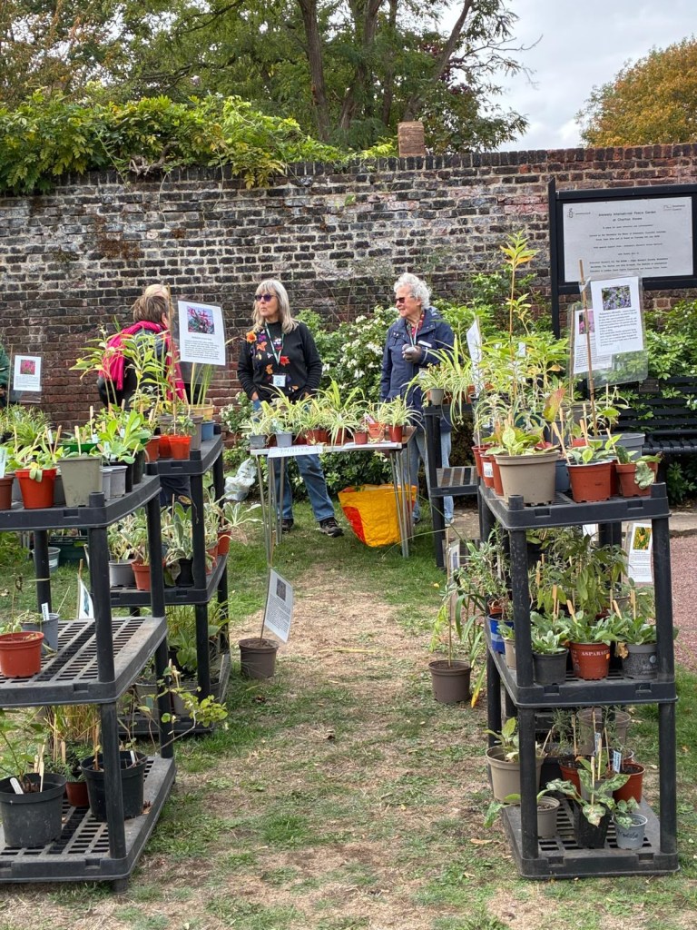 Plant Sale at the Horn Fair, October 2026