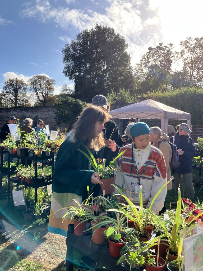 Plant Sale at the Horn Fair, October 2026
