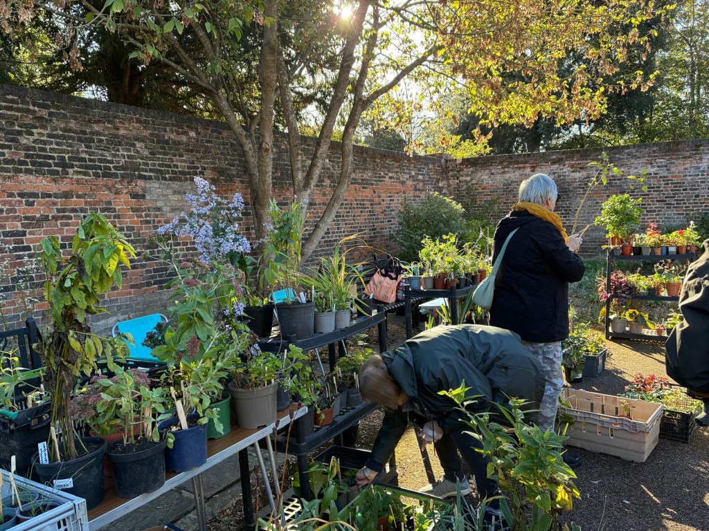 Plant Sale at the Horn Fair, October 2026