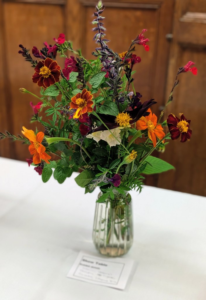 Best on the Table! Tithonia, Tagetes and Salvia. CABAHS Show Table October 2026