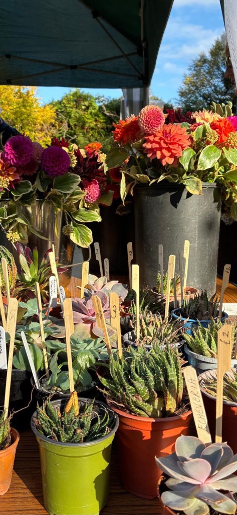 Plant Sale at the Horn Fair, October 2026