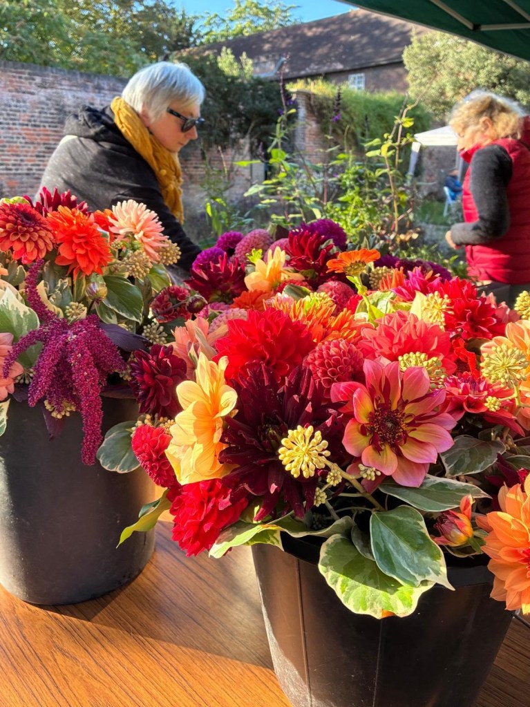 Plant Sale at the Horn Fair, October 2026