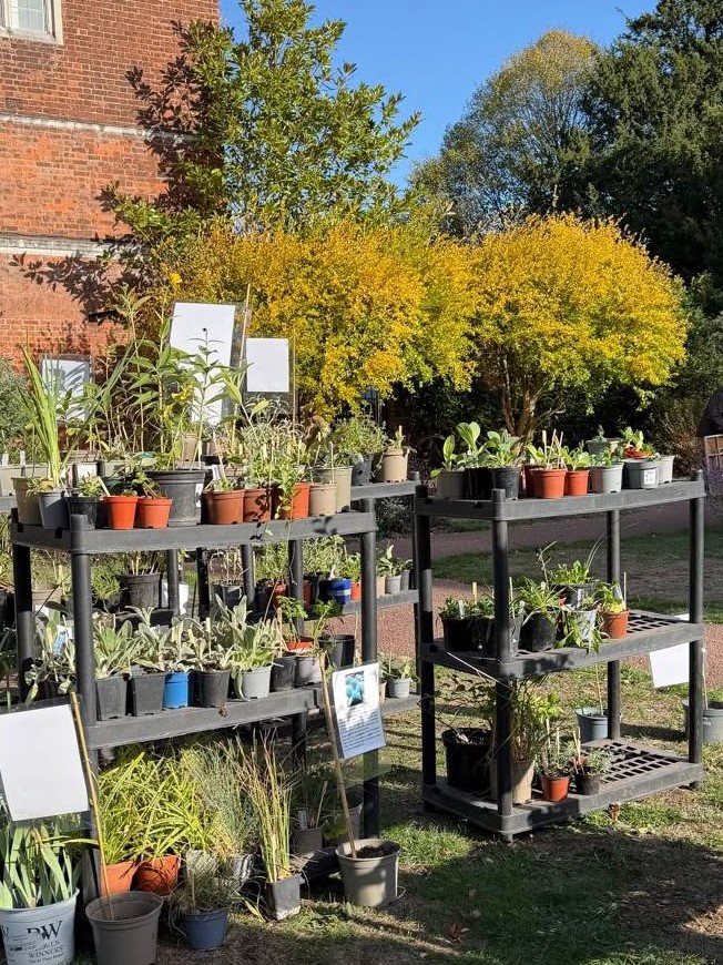 Plant Sale at the Horn Fair, October 2026