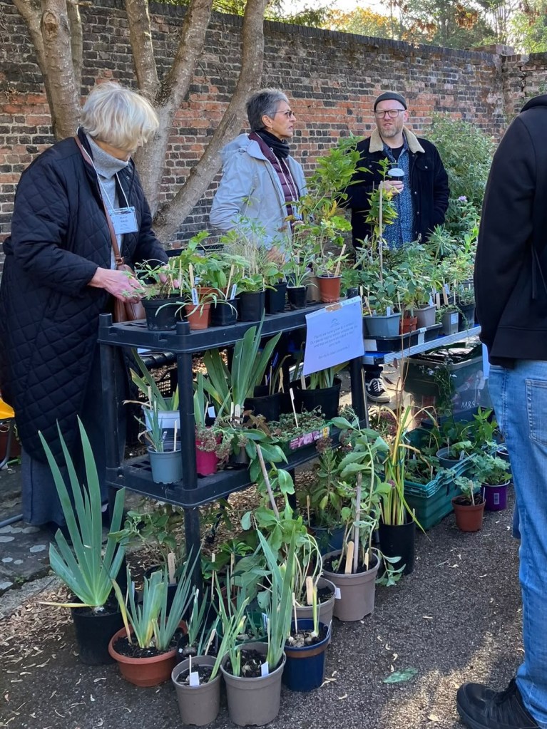 Plant Sale at the Horn Fair, October 2026