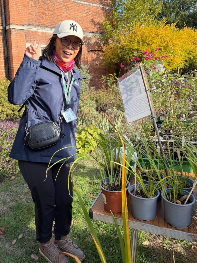 Plant Sale at the Horn Fair, October 2026