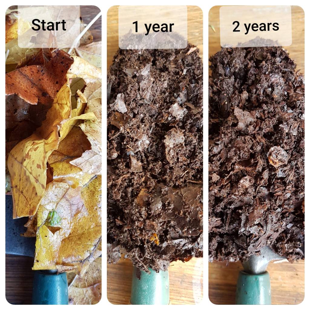 Leaf mould progress