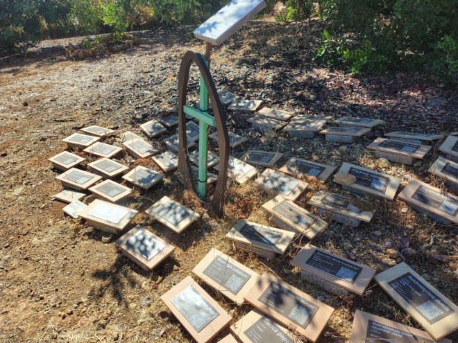 Plant cemetery at Pomar dos Sabores, Portugal 2026